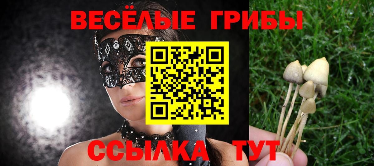 Советск  Галлюциногенные грибы GOLDEN TEACHER  Вход с VPN  Галлюциногенные грибы Magic Shrooms 